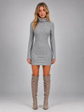 Women's Ribbed Mini Dress – Turtleneck Long Sleeve - Gray
